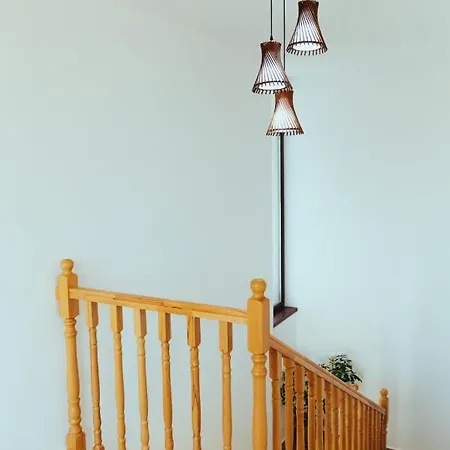 Guest house Pensiunea Bianca