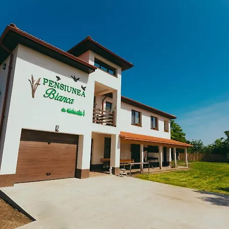 Pensiunea Bianca Guest house Salcioara (Dobruja)