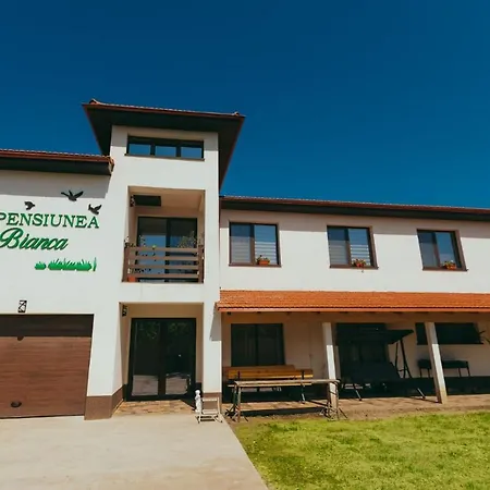Guest house Pensiunea Bianca *