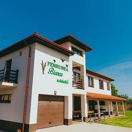 Pensiunea Bianca Guest house