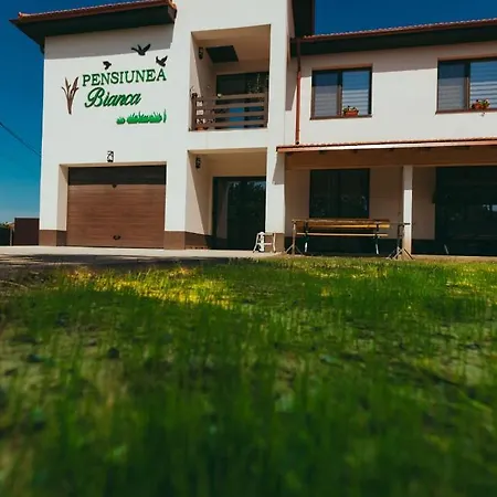 Guest house Pensiunea Bianca *