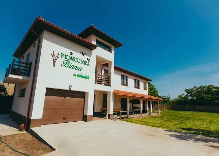 Pensiunea Bianca Гостевой дом Salcioara (Dobruja)