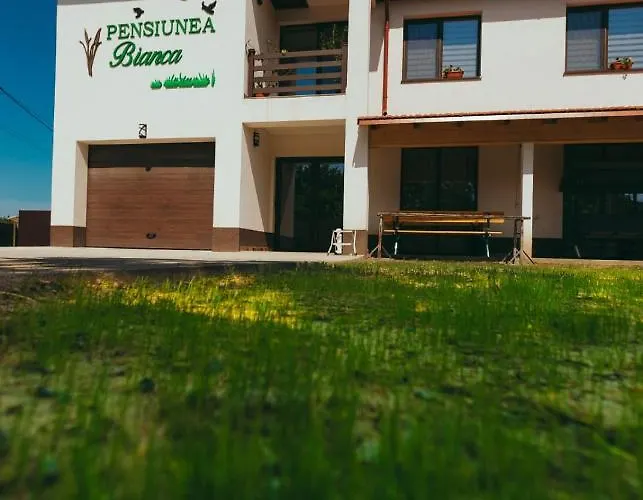 Гостевой дом Pensiunea Bianca *